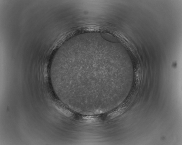 X0000116780516201001281124