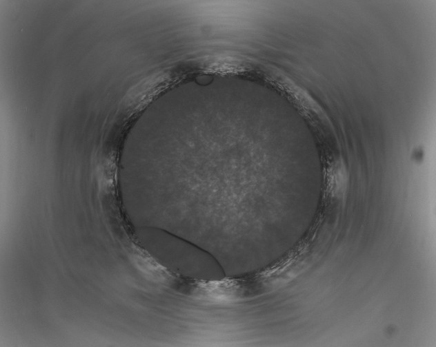 X0000116780517201001281124