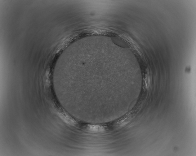 X0000116780520201001281124