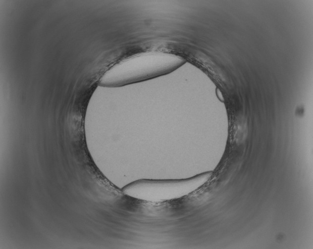 X0000116780521201001281124