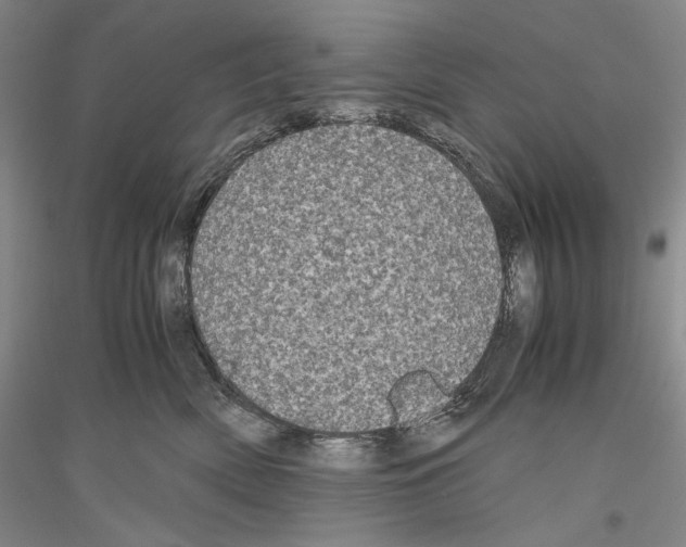 X0000116780522201001281124