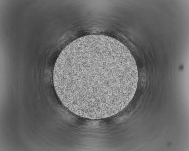 X0000116780523201001281124