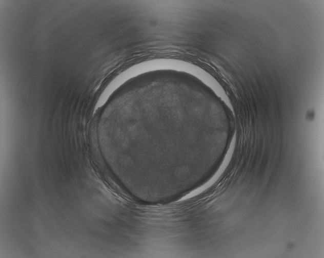 X0000116780524201001281124