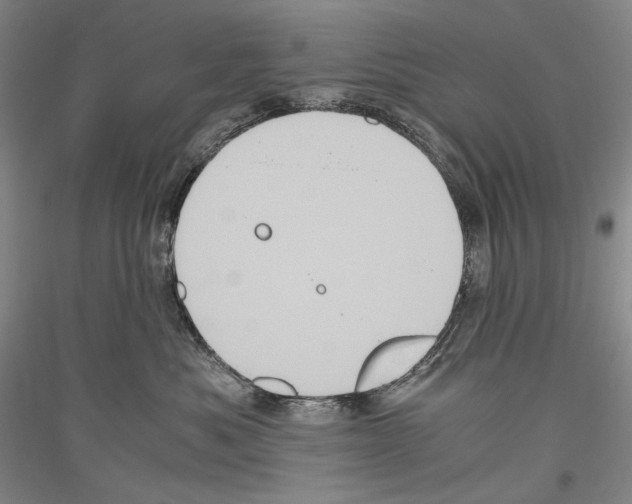 X0000116780525201001281124