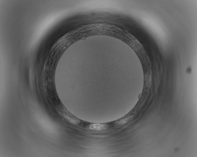 X0000116780526201001281124