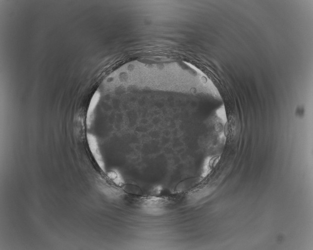 X0000116780527201001281124