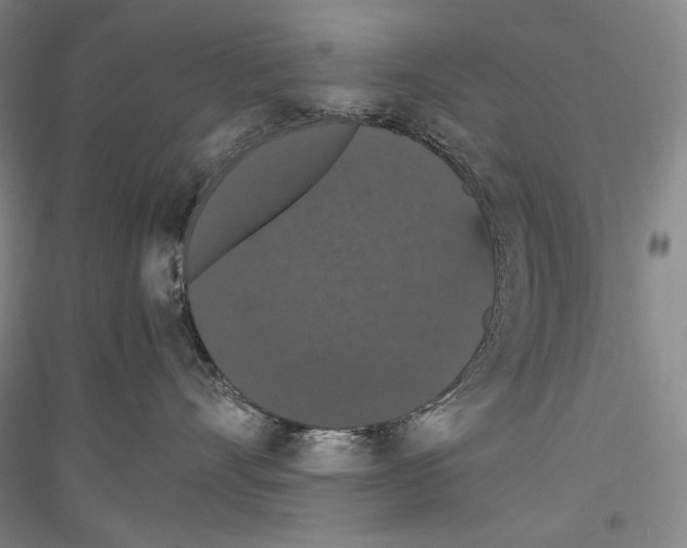 X0000116780528201001281124