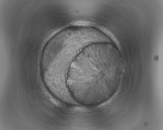 X0000116780529201001281123