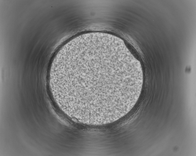 X0000116780530201001281123