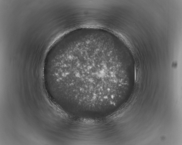 X0000116780531201001281123