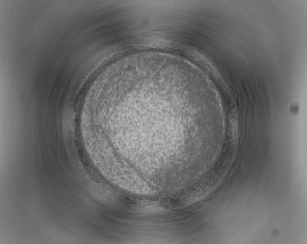 X0000116780534201001281123