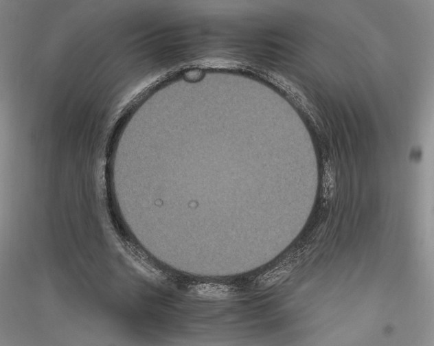 X0000116780535201001281123