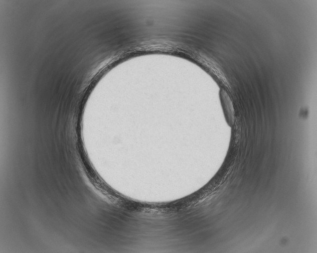 X0000116780538201001281123