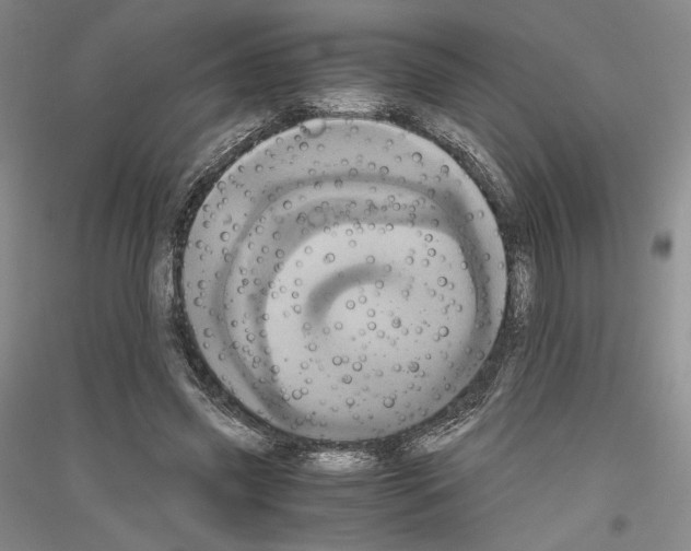 X0000116780541201001281123