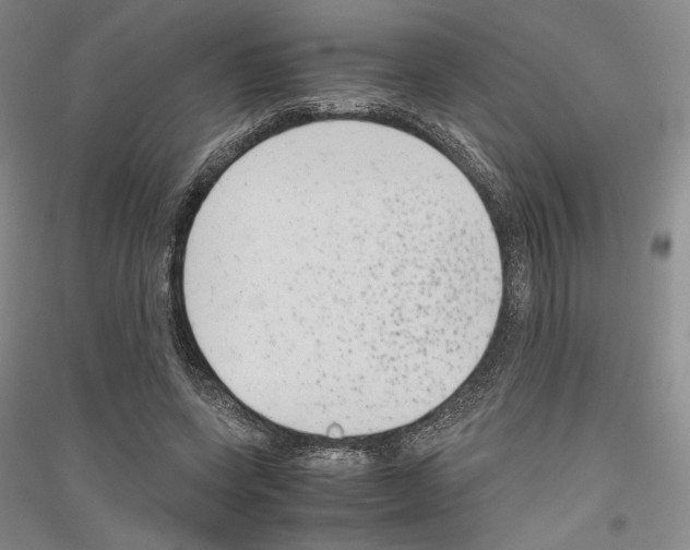 X0000116780543201001281123