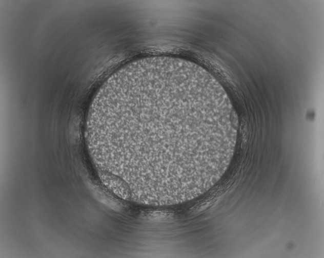 X0000116780546201001281124