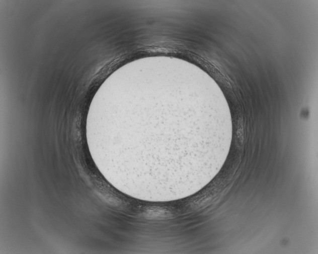 X0000116780547201001281124