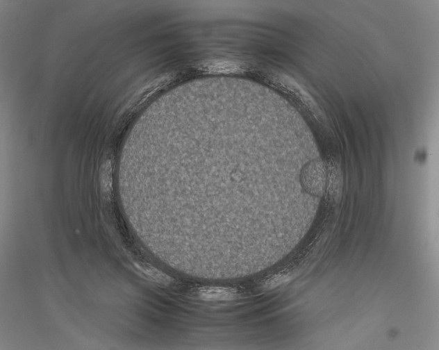 X0000116780549201001281124