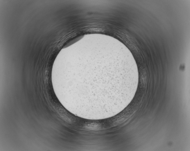 X0000116780551201001281124