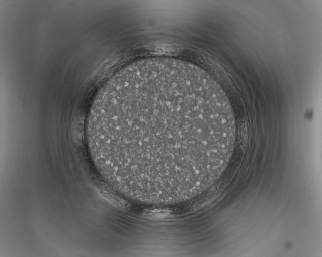 X0000116780554201001281124