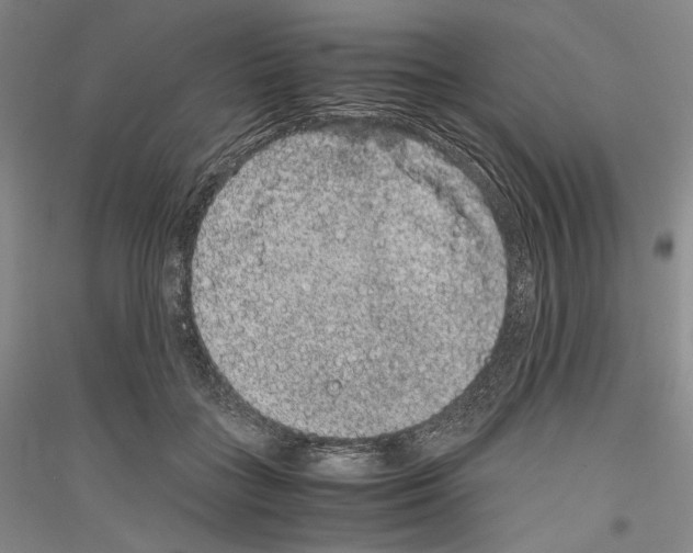 X0000116780555201001281124