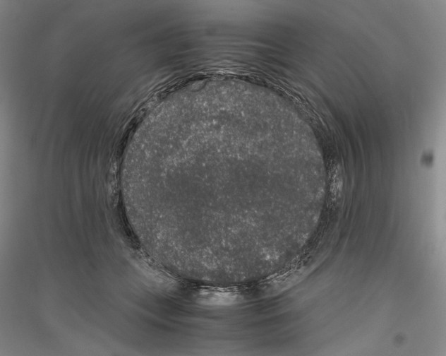 X0000116780559201001281124