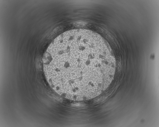 X0000116780561201001281124