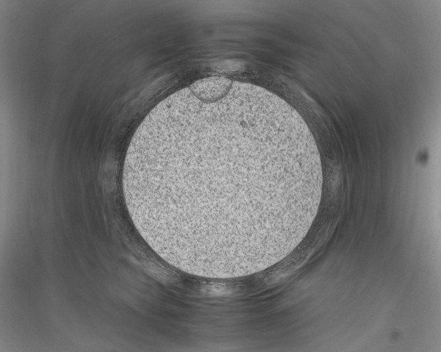 X0000116780565201001281124