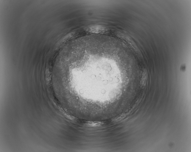 X0000116780569201001281124