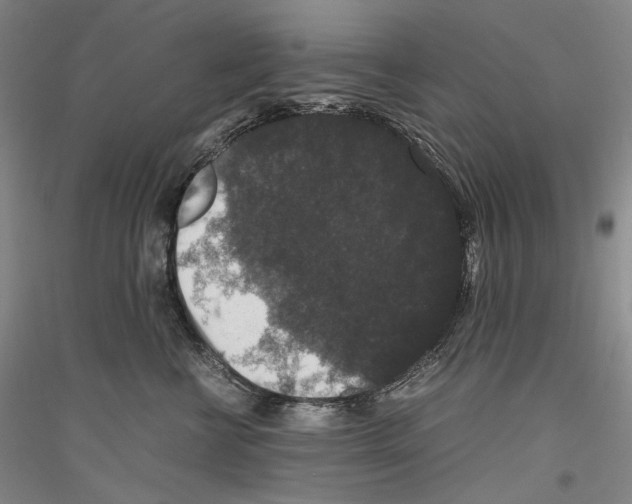 X0000116780570201001281124