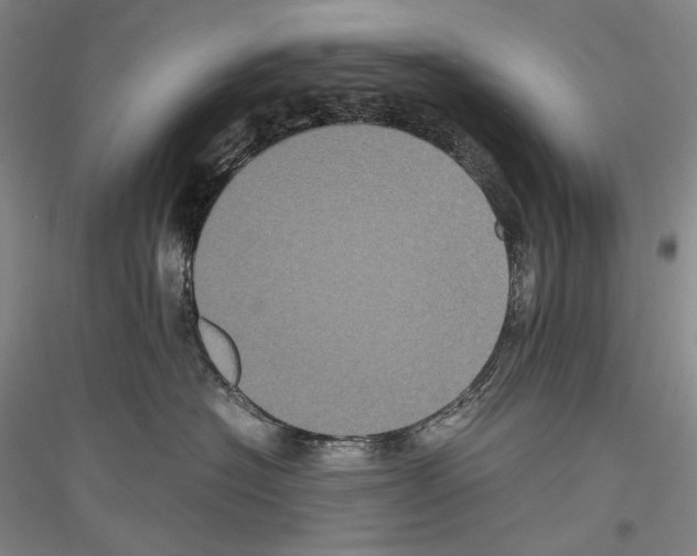 X0000116780574201001281124