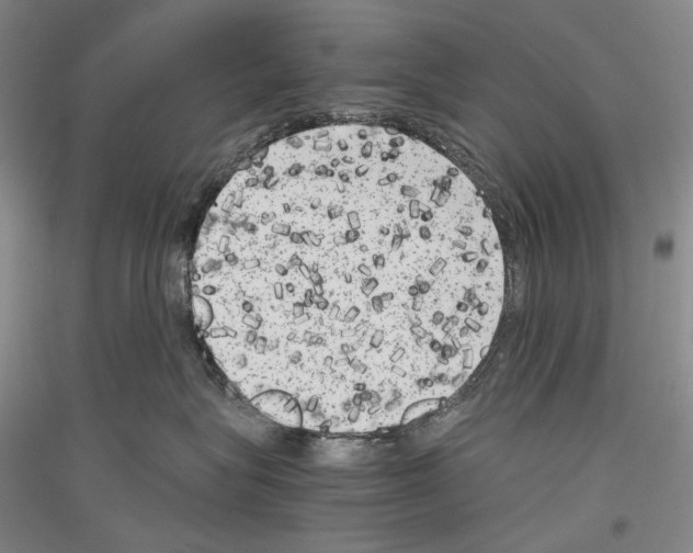 X0000116780575201001281124