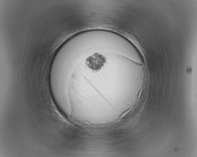 X0000116780577201001281123