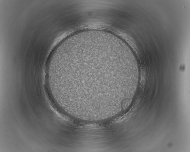 X0000116780578201001281123