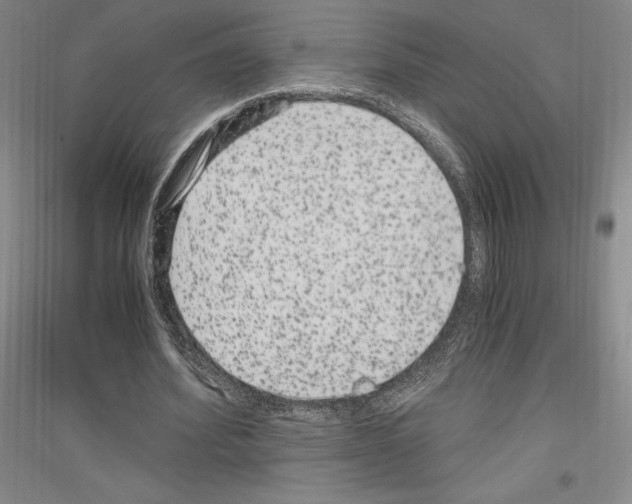 X0000116780580201001281123