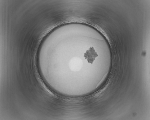 X0000116780581201001281123