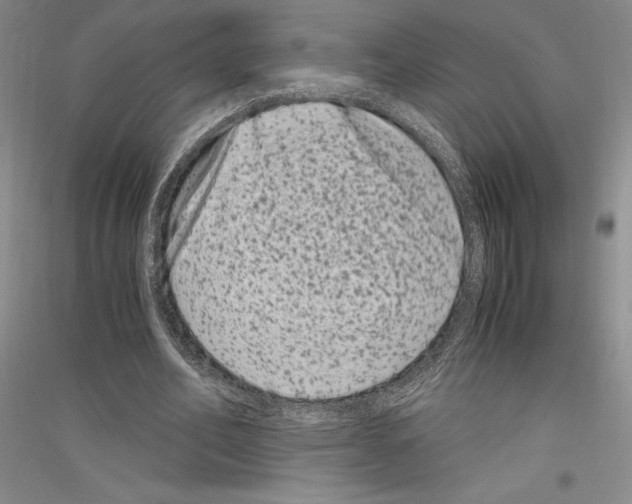 X0000116780582201001281123