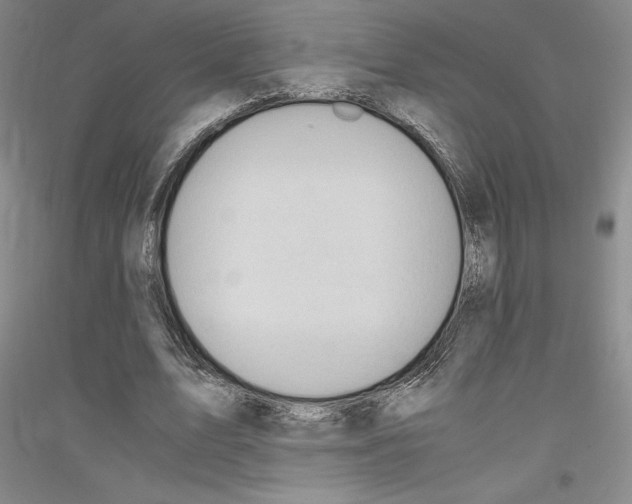 X0000116780583201001281123