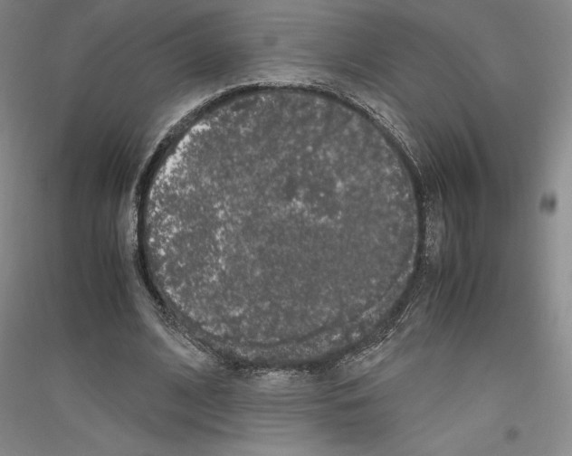 X0000116780584201001281123