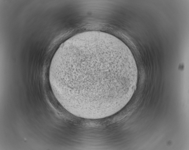 X0000116780586201001281123