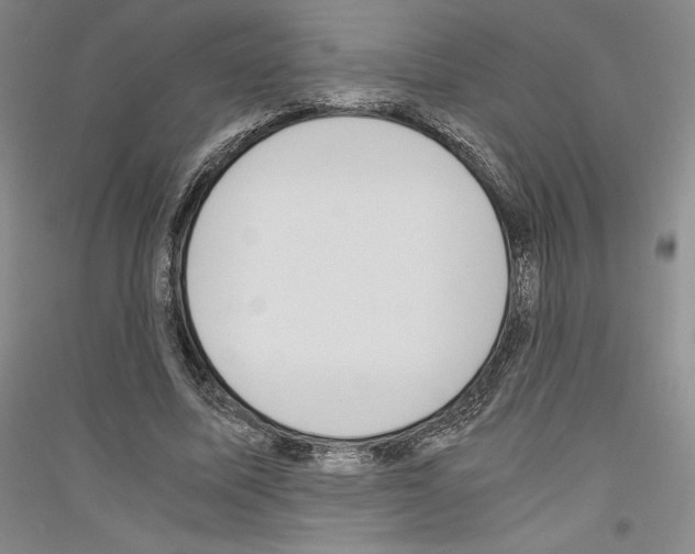 X0000116780587201001281123