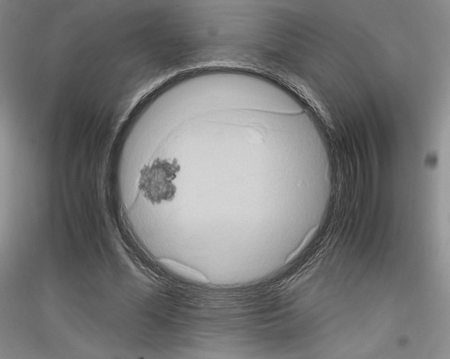 X0000116780588201001281123