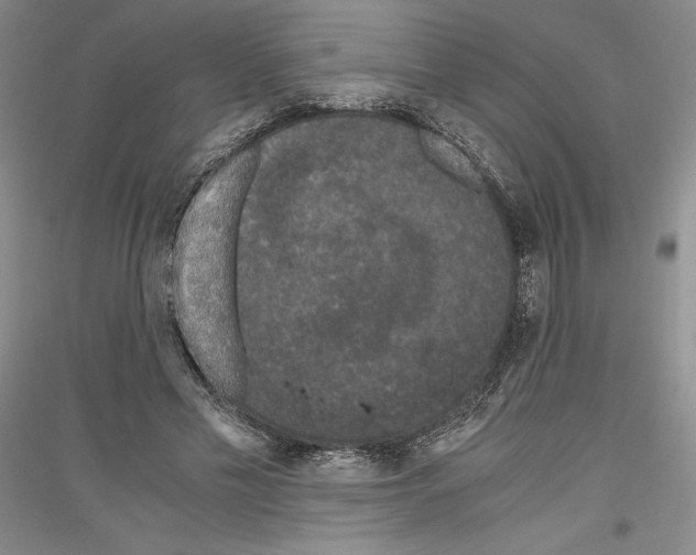 X0000116780589201001281123