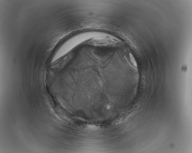 X0000116780592201001281123