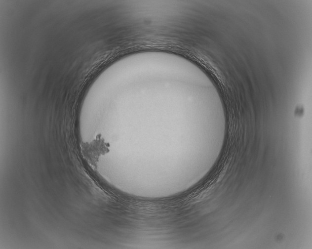 X0000116780593201001281123