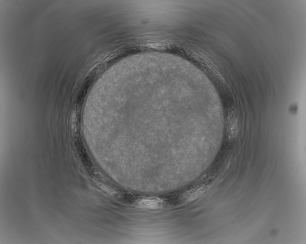 X0000116780595201001281123