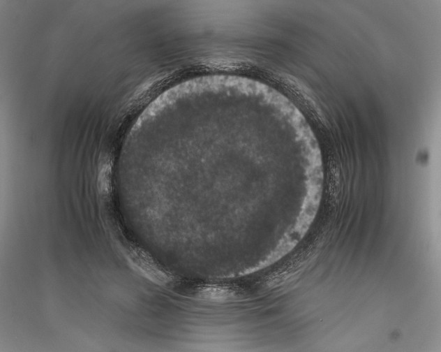 X0000116780596201001281123