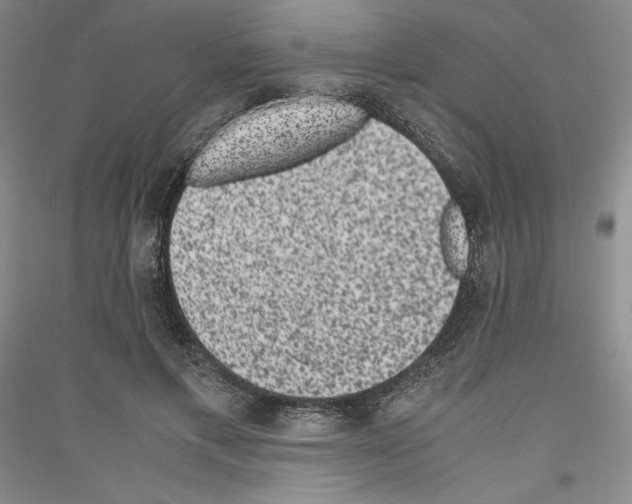 X0000116780597201001281123