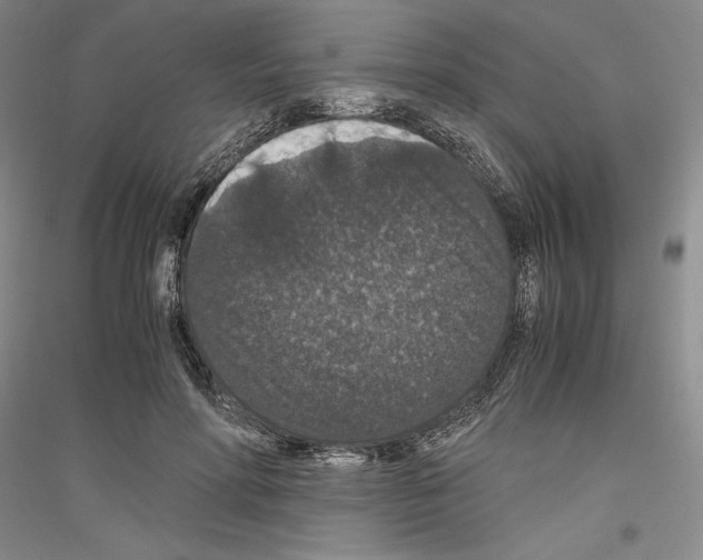 X0000116780598201001281123