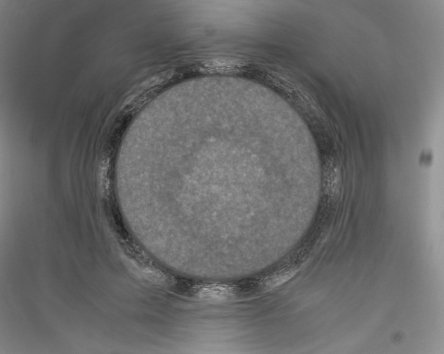 X0000116780599201001281123